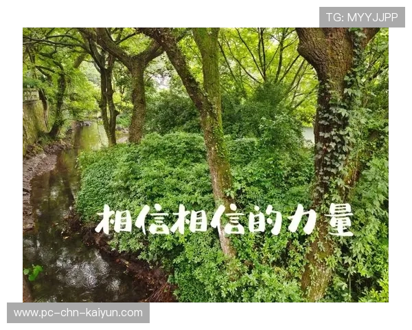 太阳强势反弹——重启自然的力量,唤醒生活的活力