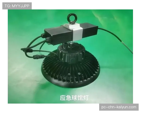 球场夜间照明应急替换灯具与维护周期说明，球场照明灯一般多少瓦